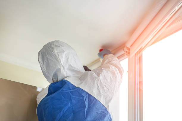 Best Commercial Mold Inspection  in Sunset Beach, NC